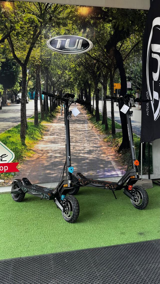Patinete G2 800W