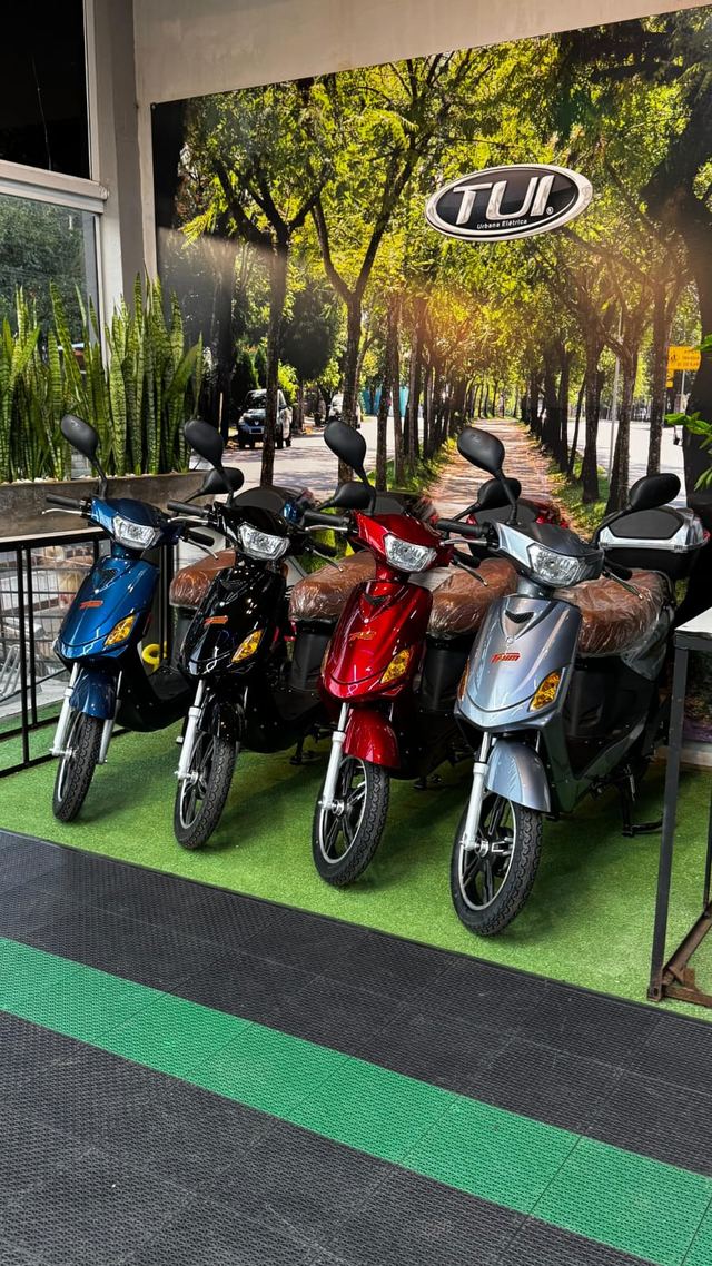 Taim elétrica 600W