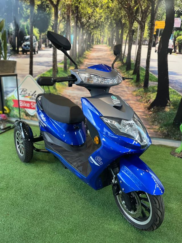 Tribike 1000W