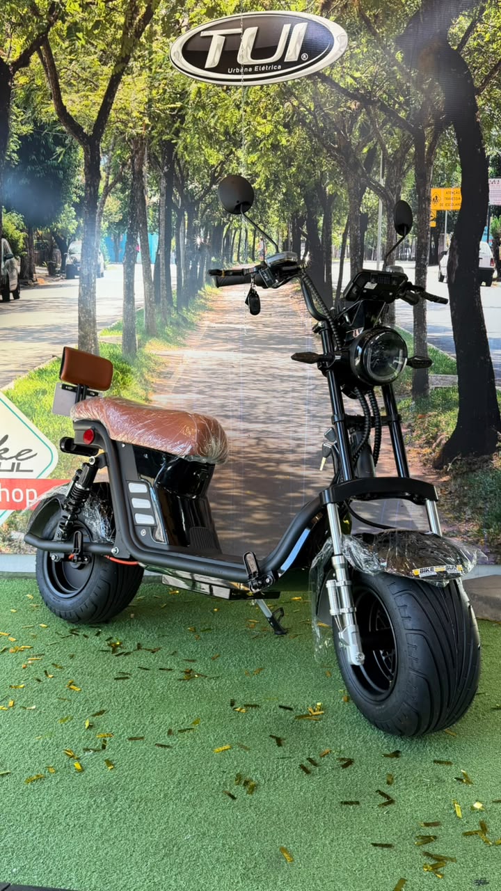Scooter X13 2027 de 1000W