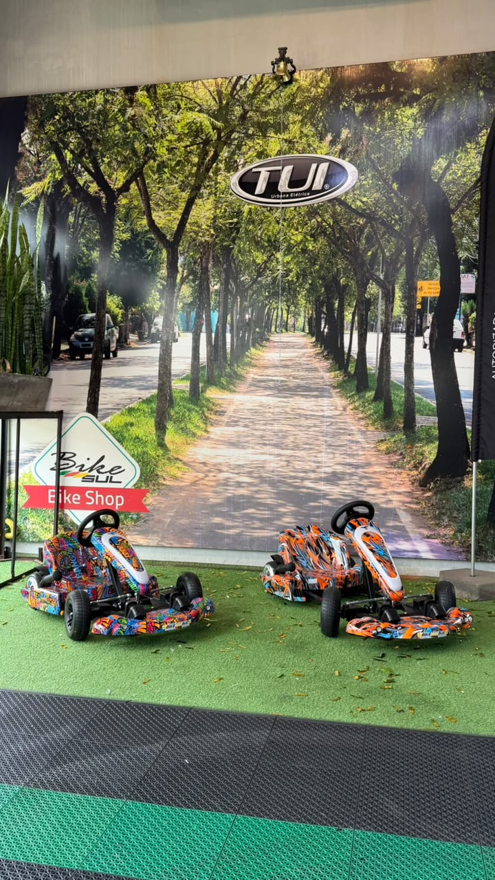Ultra Race - Kart de 350W